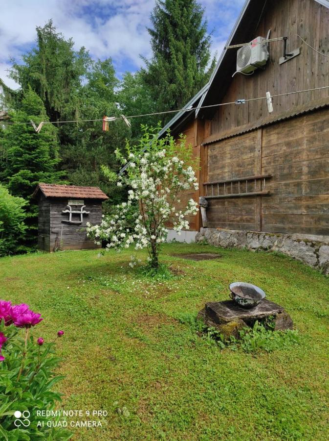 Villa Dorina Hiza Karlovac Esterno foto