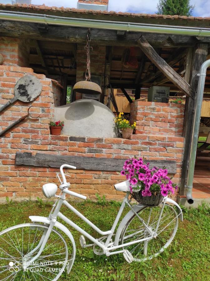 Villa Dorina Hiza Karlovac Esterno foto