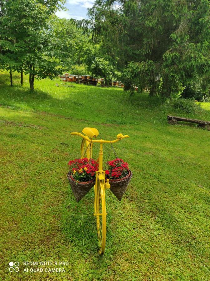 Villa Dorina Hiza Karlovac Esterno foto