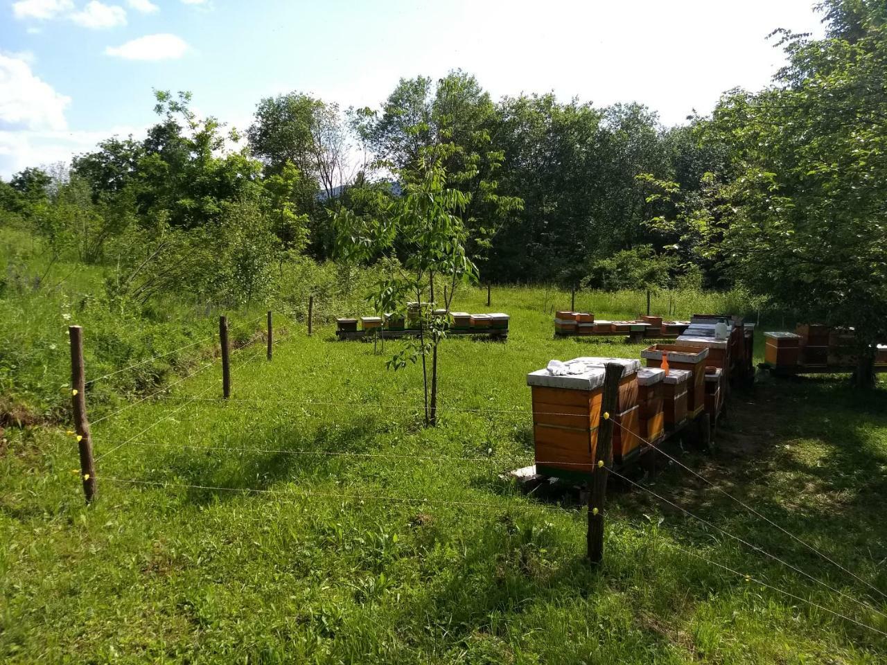 Villa Dorina Hiza Karlovac Esterno foto