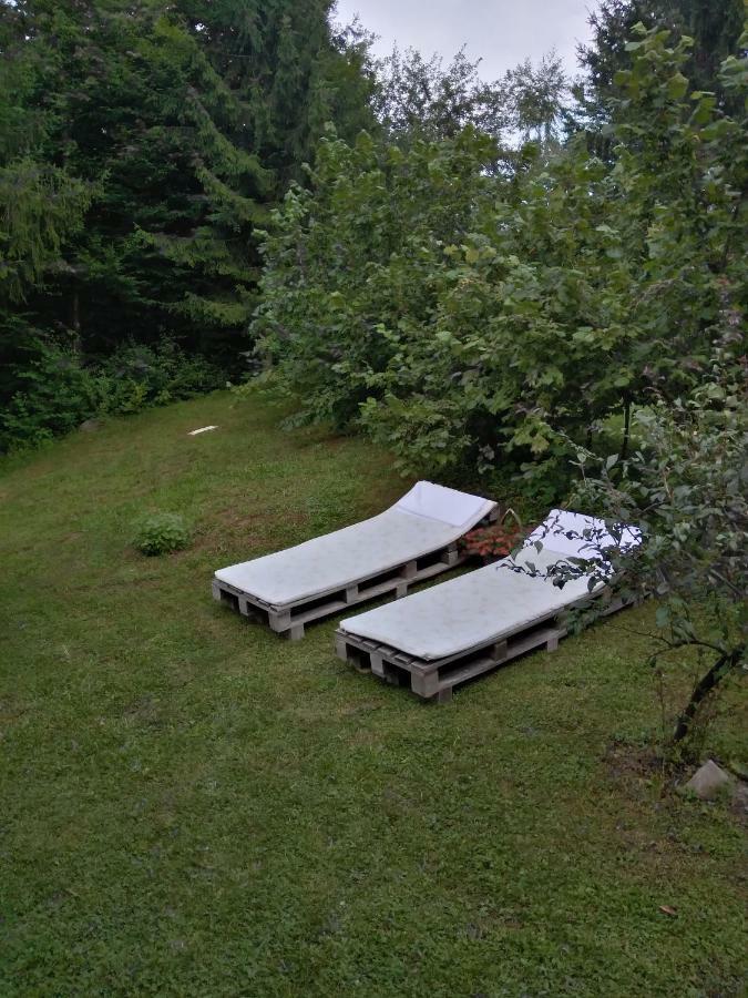 Villa Dorina Hiza Karlovac Esterno foto