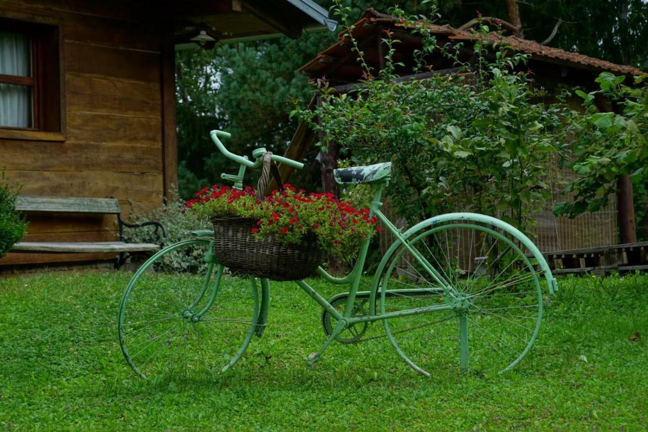 Villa Dorina Hiza Karlovac Esterno foto
