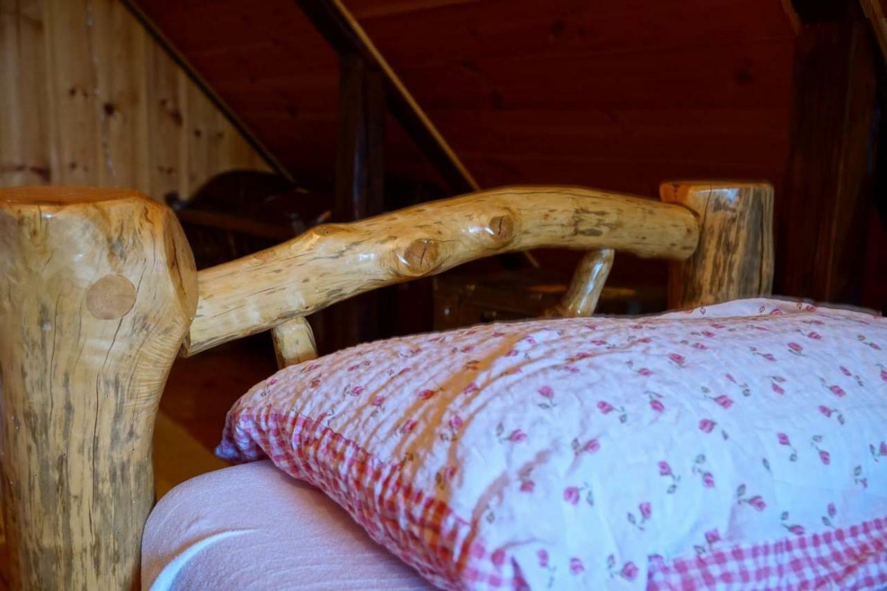 Villa Dorina Hiza Karlovac Esterno foto