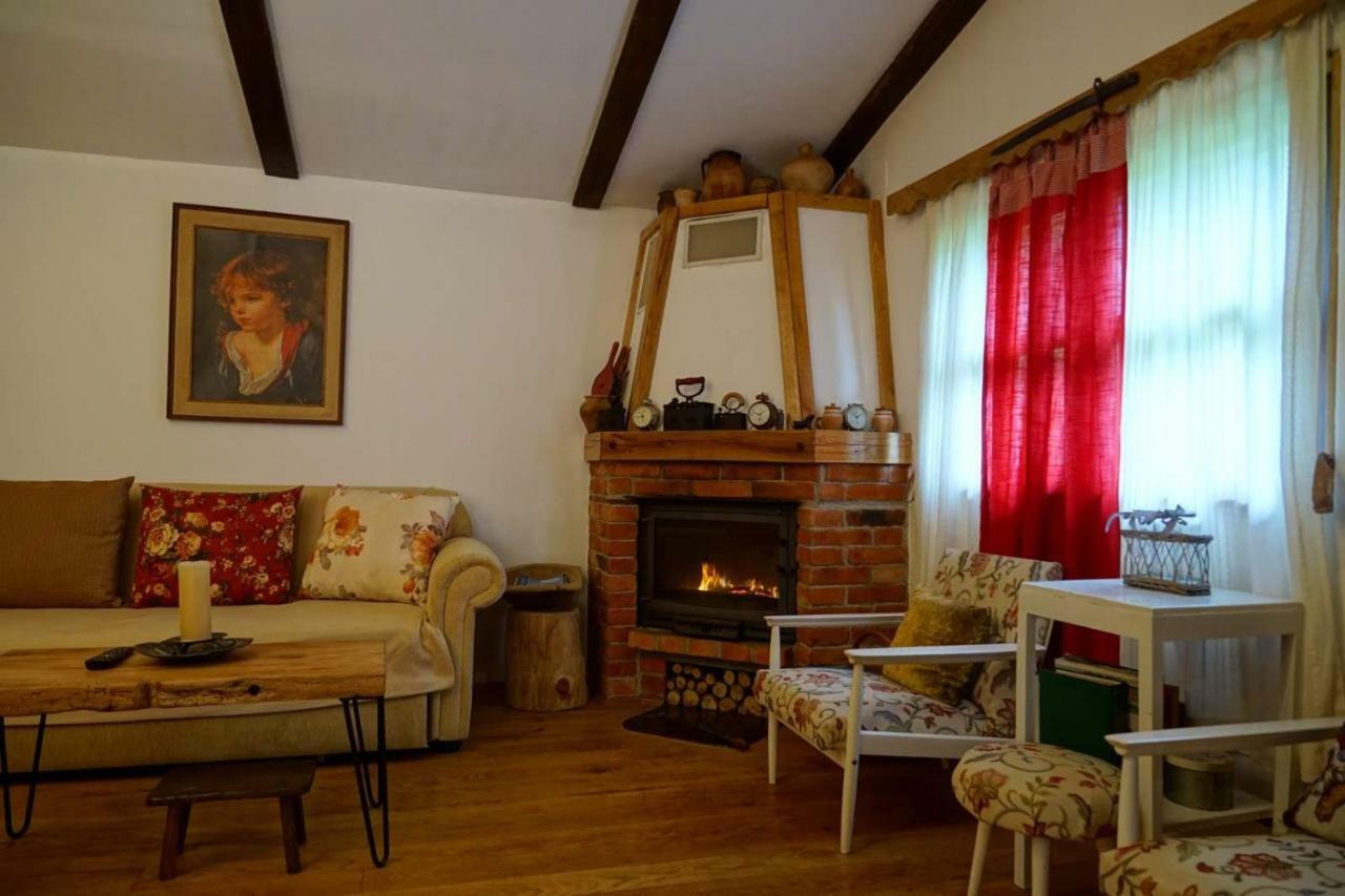 Villa Dorina Hiza Karlovac Esterno foto