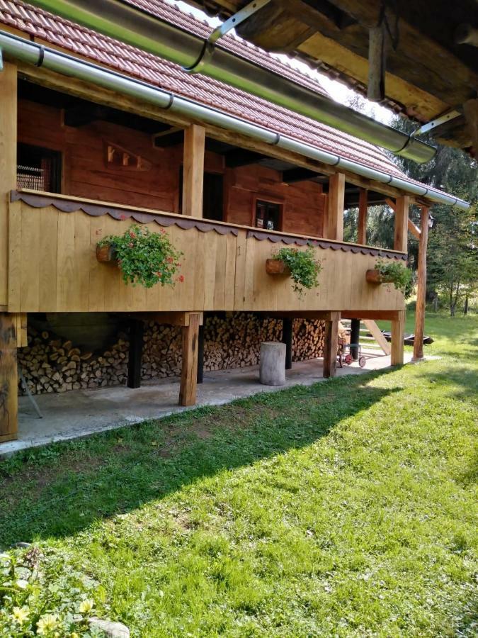 Villa Dorina Hiza Karlovac Esterno foto